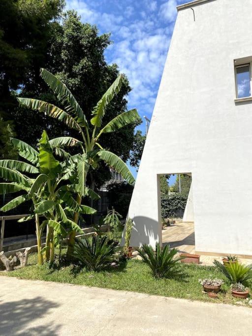 카리니 Casa Woow 아파트 외부 사진